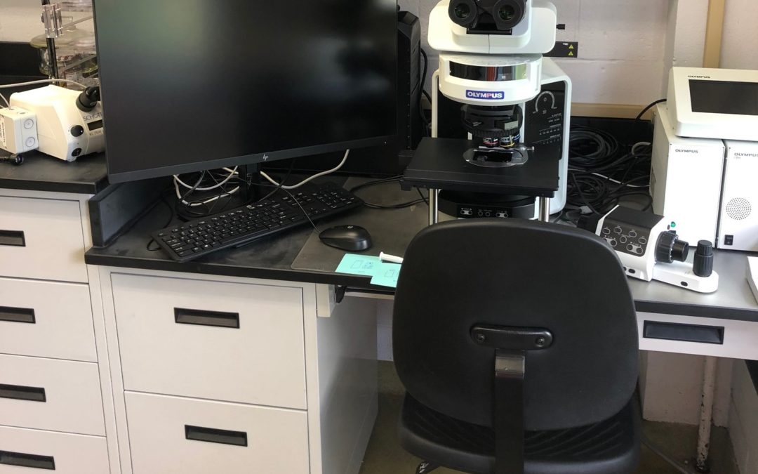 A closer look at the Olympus BX63 microscope
